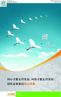 团结广告设计PSD素材免费下载 编号5970605红动网，助力软件开发