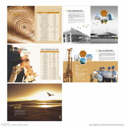 软件开发公司的画册图片策划 视觉叙事与品牌塑造